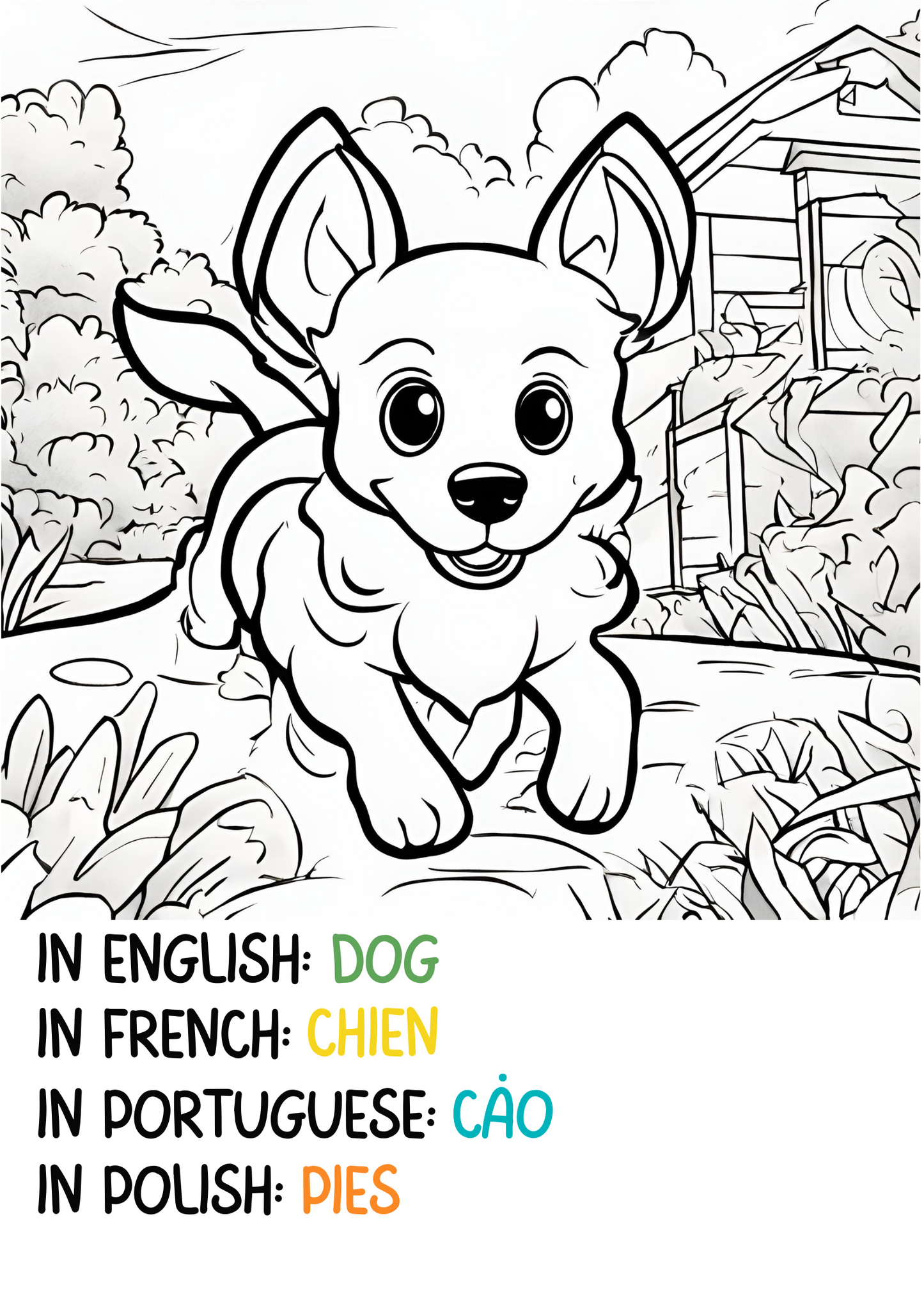 Print, Color & Learn: Animals in English, French, Portuguese and Polish